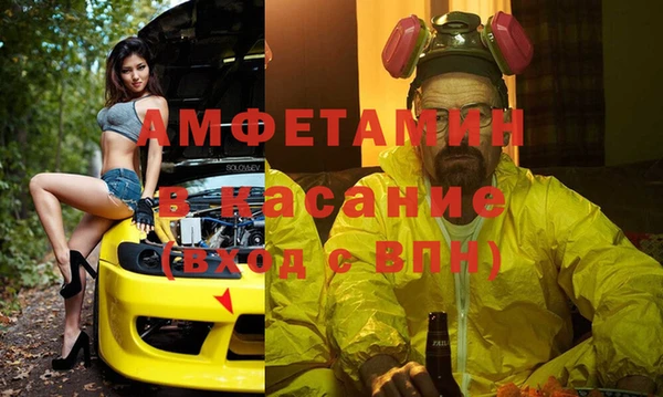 стафф Вяземский